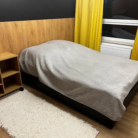 7colors 克拉科夫